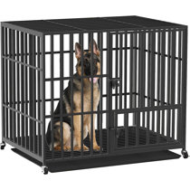 Escape proof 2025 dog kennel